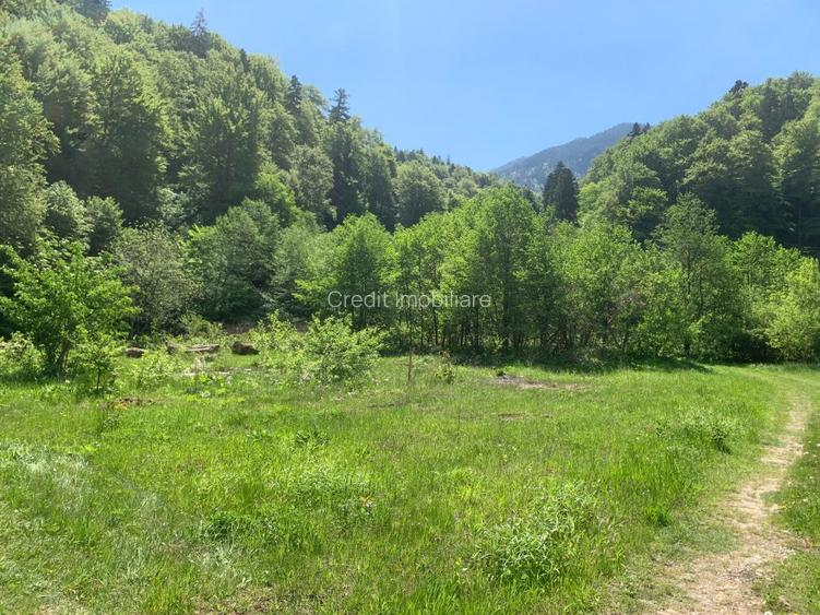 Teren de vanzare DN1. - 8