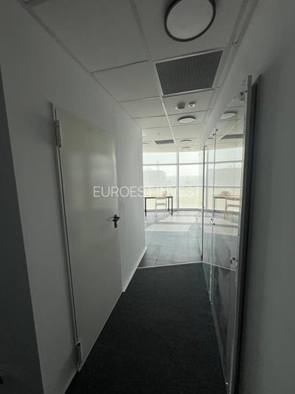 Birou de inchiriat P-ta Victoriei - 9