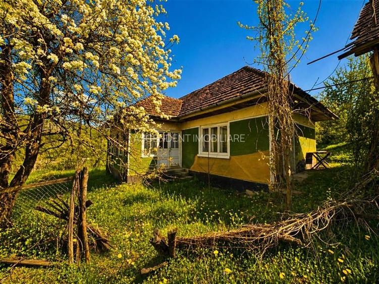 Domeniu de 3.400 mp cu traditionala casa, Suveica, Acatari Mures - 10