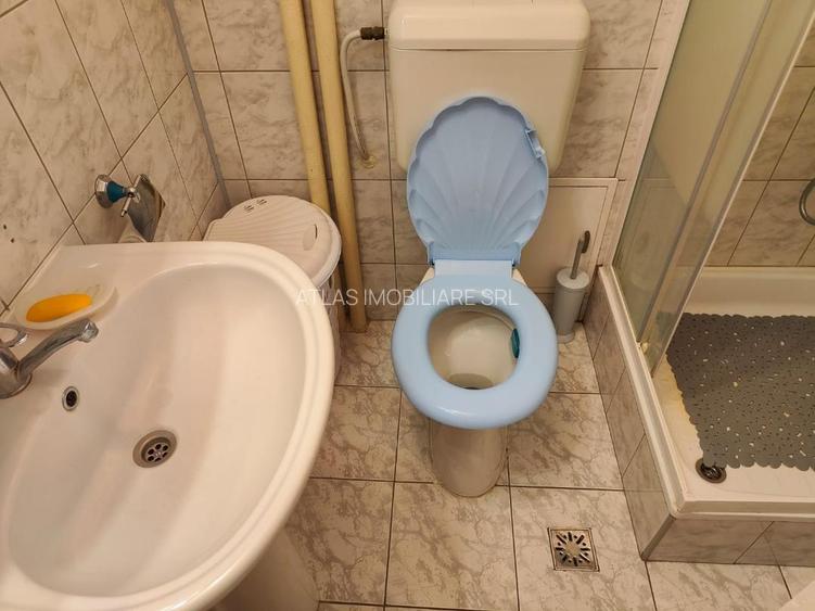 Cismigiu - Stirbei Voda - 6