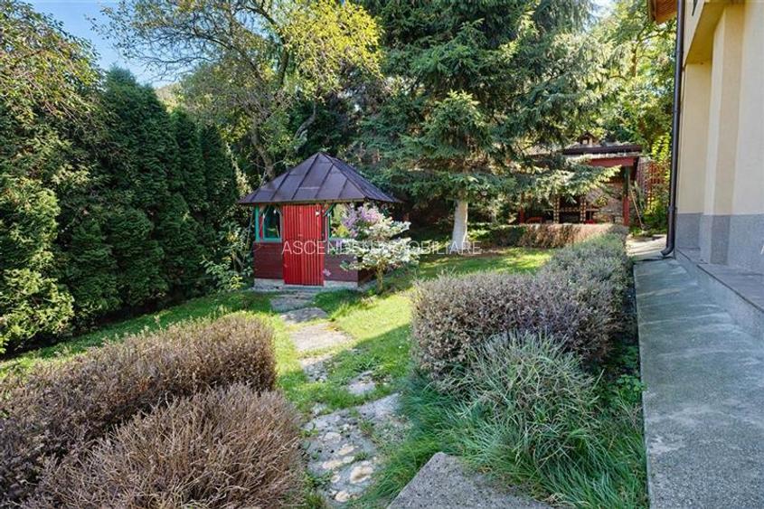 Tur LIVE!Casa cu arhitectura traditionala, curte spatioasa,foisor,Rucar. Bran - 12