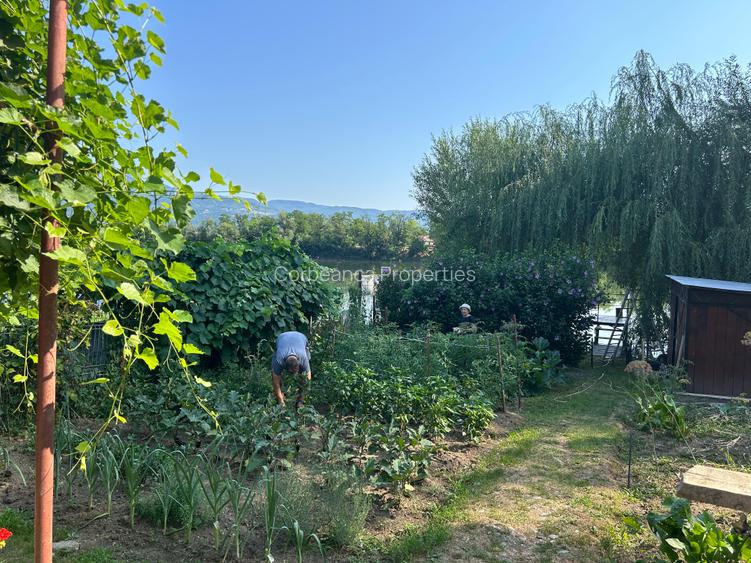 Inchiriem cabana in Calimanesti (Seaca), cu ponton la Olt, gradina - 5