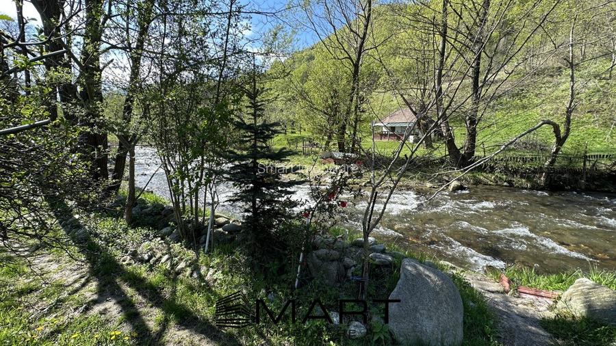 Casa cu teren langa rau Lotrioara - 8