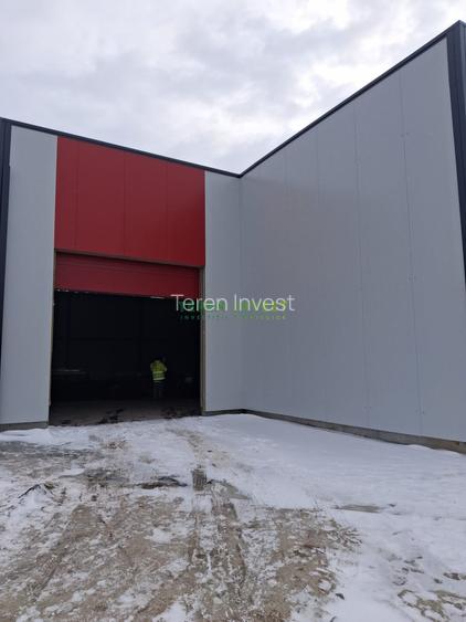 Hala depozitare -  Cernica - 10