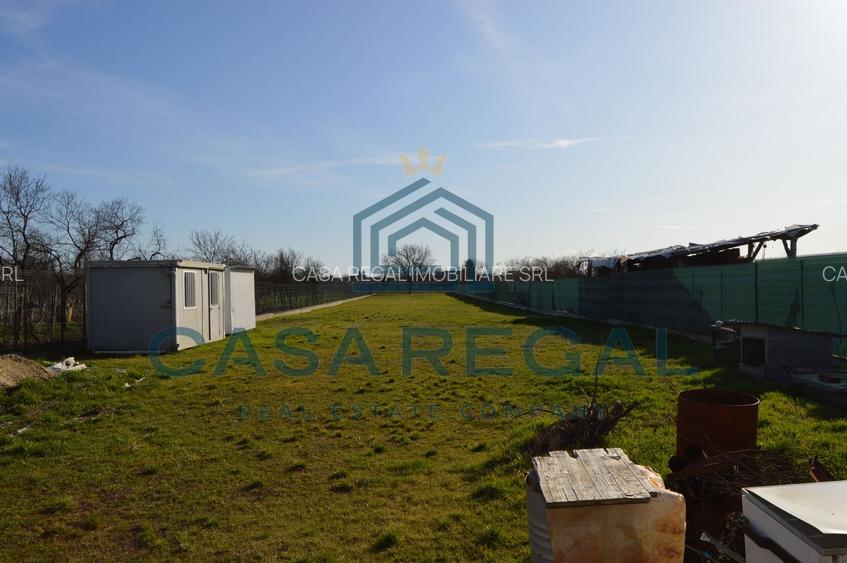 Teren 3500 mp împrejmuit, central, Biharia, lângă Profi, utilități - 4