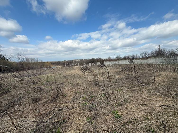 Teren de vanzare Caciulati Moara Vlasiei vedere lac - 5