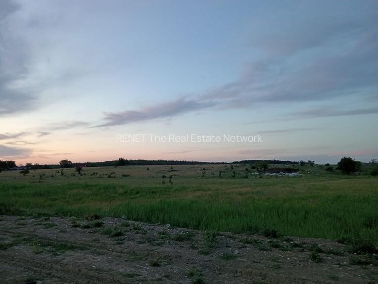 SUPER OCAZIE SE VINDE TEREN IN CREVEDIA-CIOCANESTI - 12
