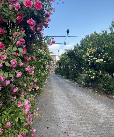 imobil si teren de vanzare - 9