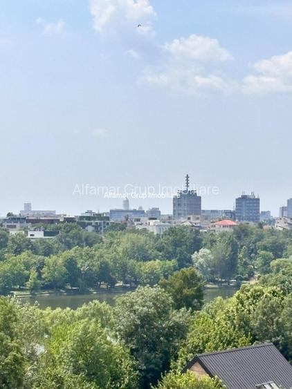 Apartament cu vedere panoramică spre lacul Floreasca si Herastrau - 20