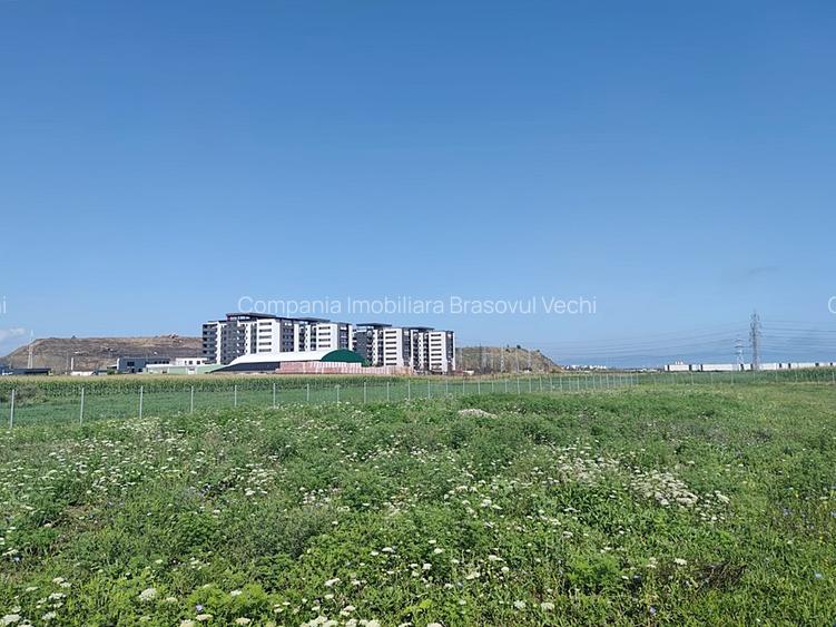 Teren intravilan cu potențial excelent în Triaj, Narciselor, pentru dezvoltatori - 9