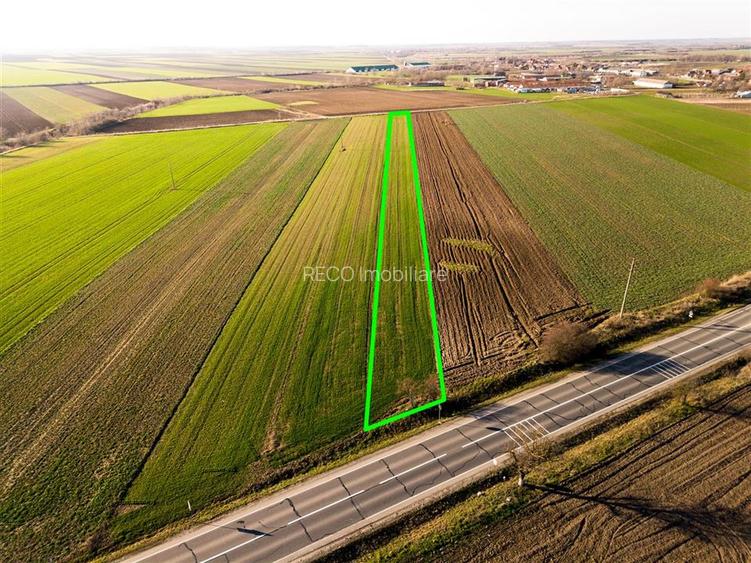 RECO teren 5000mp cu dechidere la DN19 Tamaseu - 2