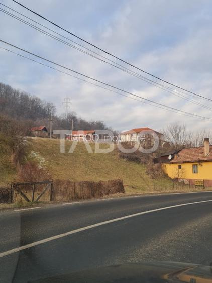 Teren intravilan de vanzare in Sasciori jud Alba - 3