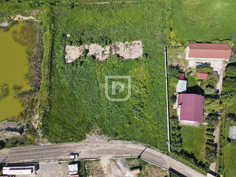 Teren 4.844mp intravilan Scheia | Suceava - 6