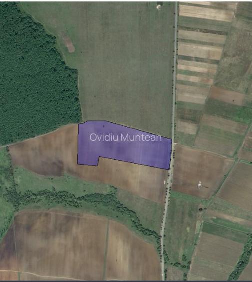 Vand teren Comuna Martinesti, Hunedoara - 6