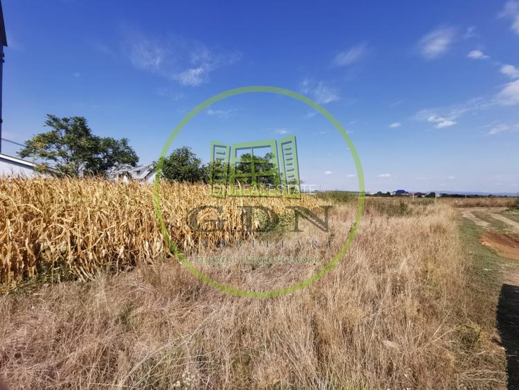 Teren intravilan de vanzare in Osorhei, 5.840 mp, cu front 3 fronturi stradale. - 4