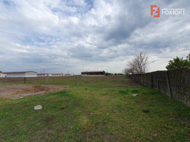 Teren intravilan cu suprafata de 58.340 mp, in Sanmartinul Sarbesc - 26