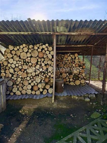 Casa potential:locuire multifamiliala,activitati comerciale,birouri,677 mp teren - 17