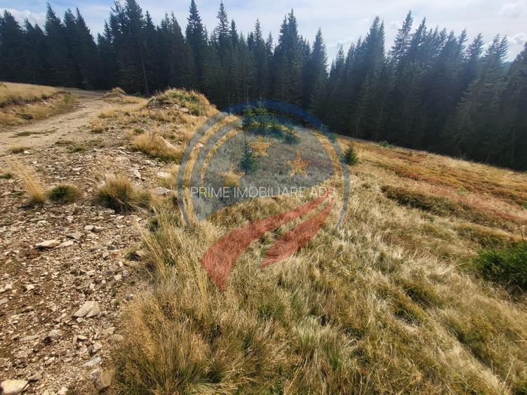 Teren de vanzare in Horezu/Bolca Pietrele Scrise/Valcea - 6