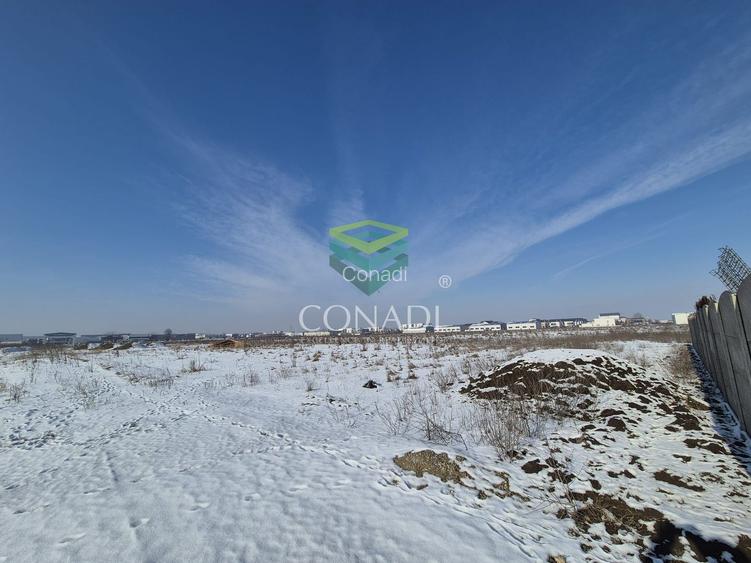 Otopeni - Teren 1.308 mp | Destinatie Mixta | - 3