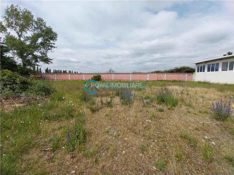 Royal Imobiliare - Vanzare Spatiu Industrial zona Exterior Est - 14