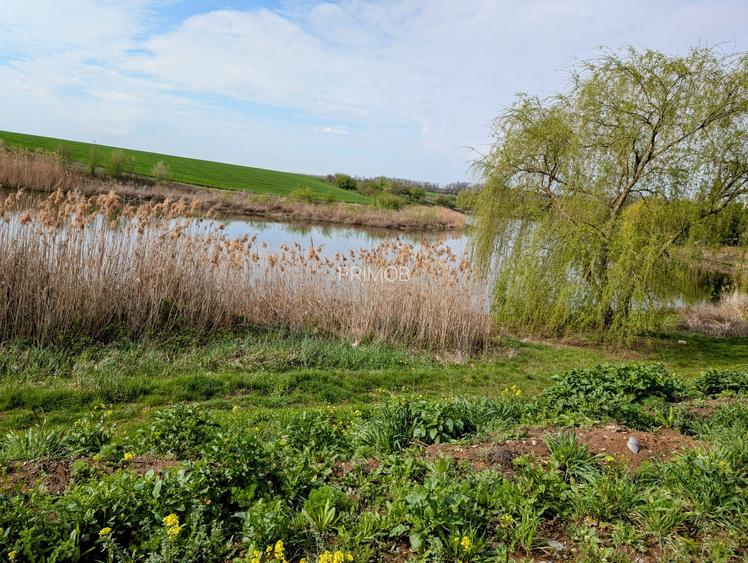 Paradisul Verde-Corbeanca,intravilan,10300mp,deschidere lac-120m,view deosebit - 4