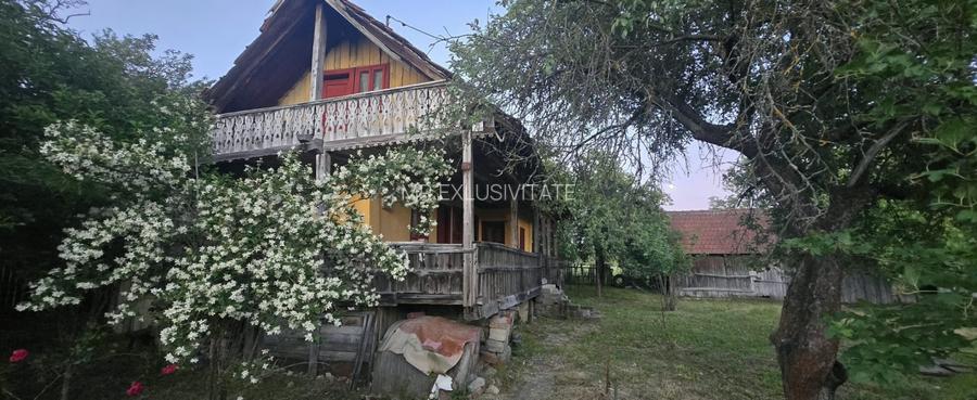 Casă cu 7.769 mp teren și pădure | Budieni | 53.000€ - 12
