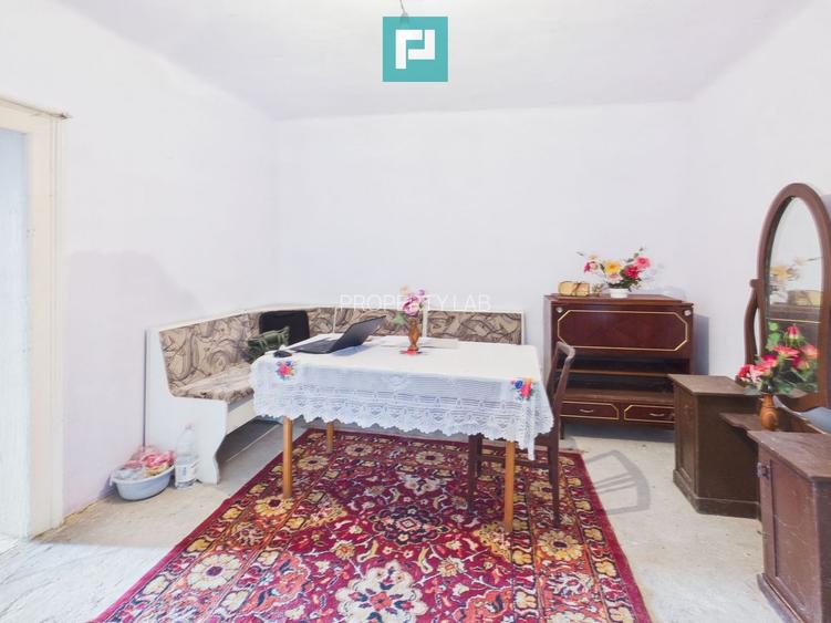 Casă cu teren generos, 4.000 mp, Chijic – Bihor - 5