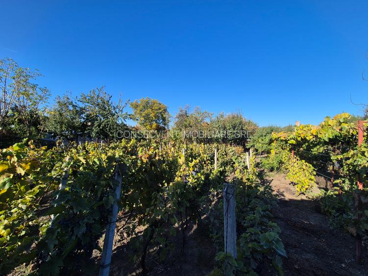 Casă cu teren 1249 mp – Vladimirescu, aproape de centru comision 0 - 17