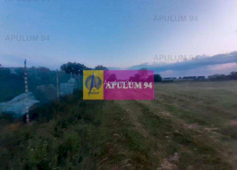 Teren aproape de Bucuresti langa padure - 13
