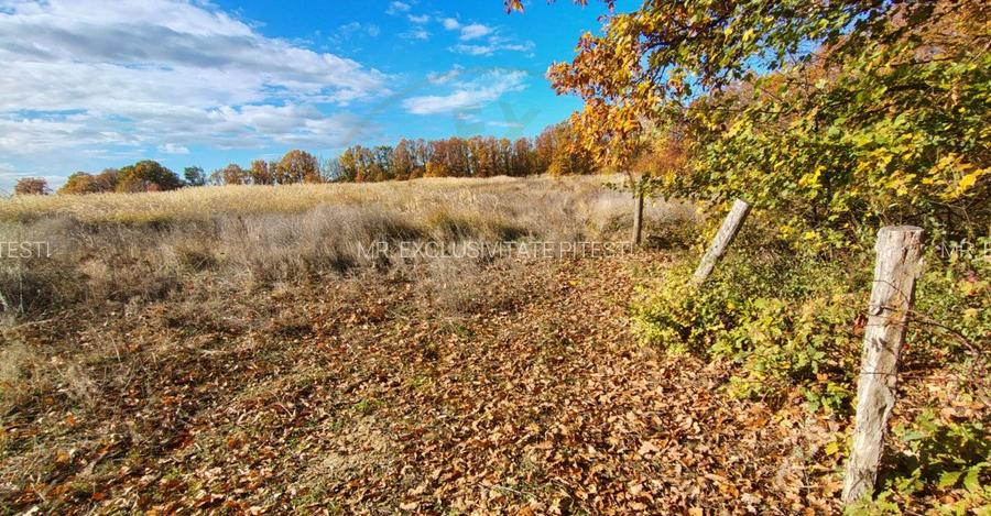 Terenuri intrevilane Comuna Mosoaia - 2