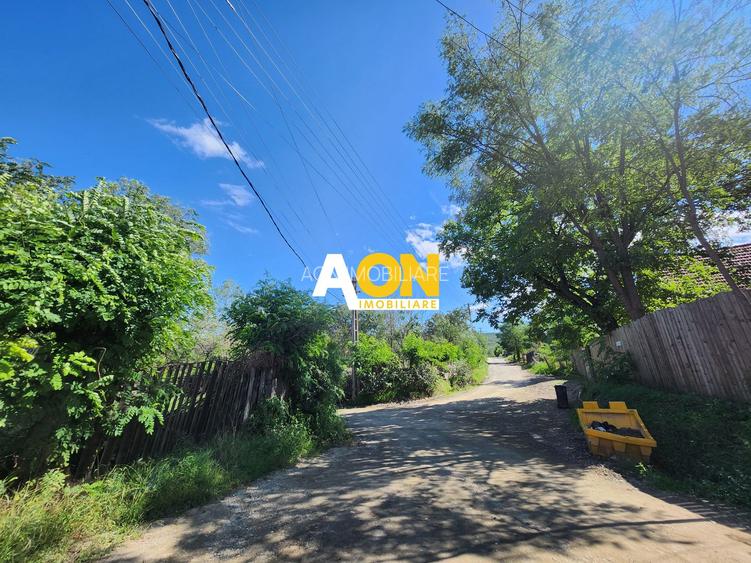 De vanzare 2965 mp teren intravilan, toate utilitatile, Oarda de Sus - 11