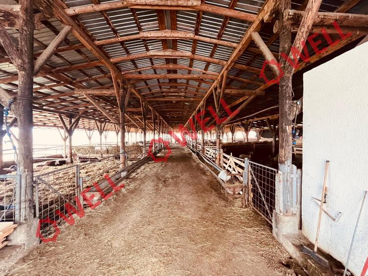 Ferma complet echipată de 22 de hectare de vânzare în Zoltan! - 10