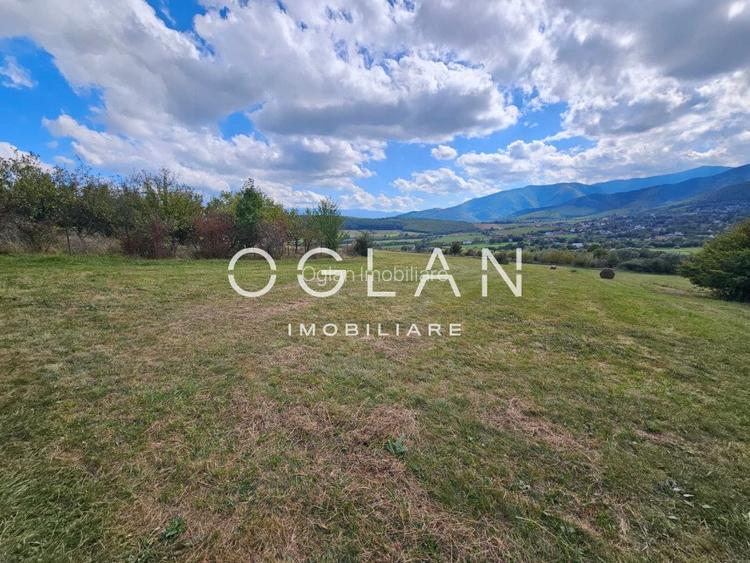 Teren Tocile (parcelabil) 3500 mp  - 13