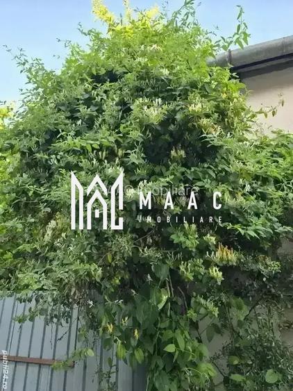 Casa individuala | Acces Auto | Teren 460MP | C. Dumbravii - 6