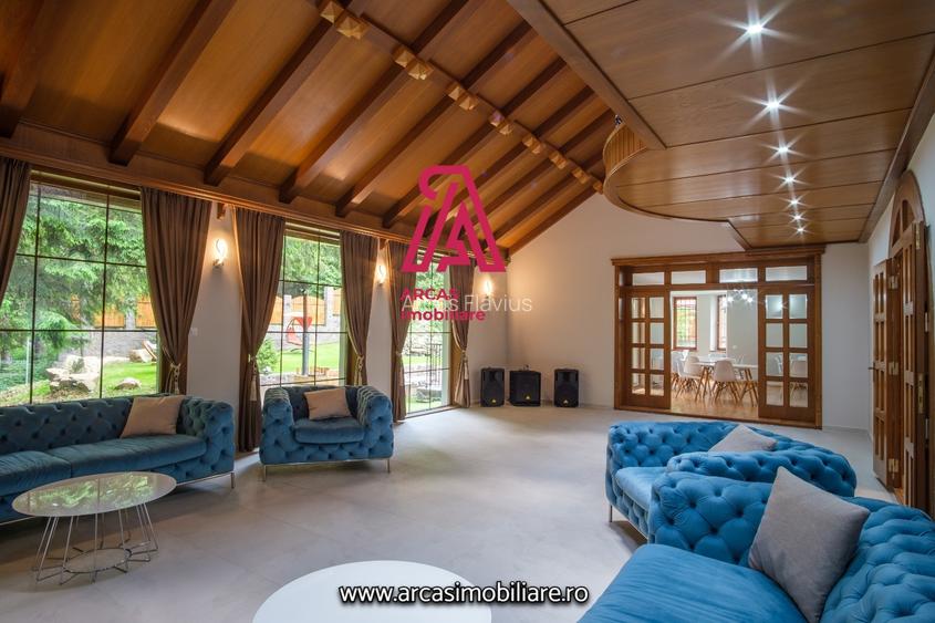 Afacere la cheie! Resedinta de lux- statiunea Paltinis! - 4