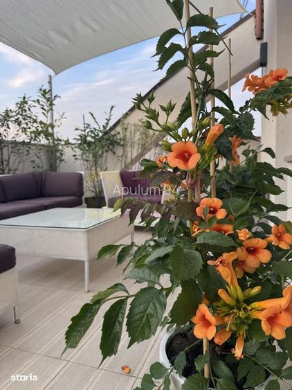 Apartament 3 camere cu terasă 133 mp, Timpuri Noi - 2