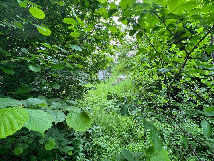 Breaza - Ocina de sus - 4200 mp - 8