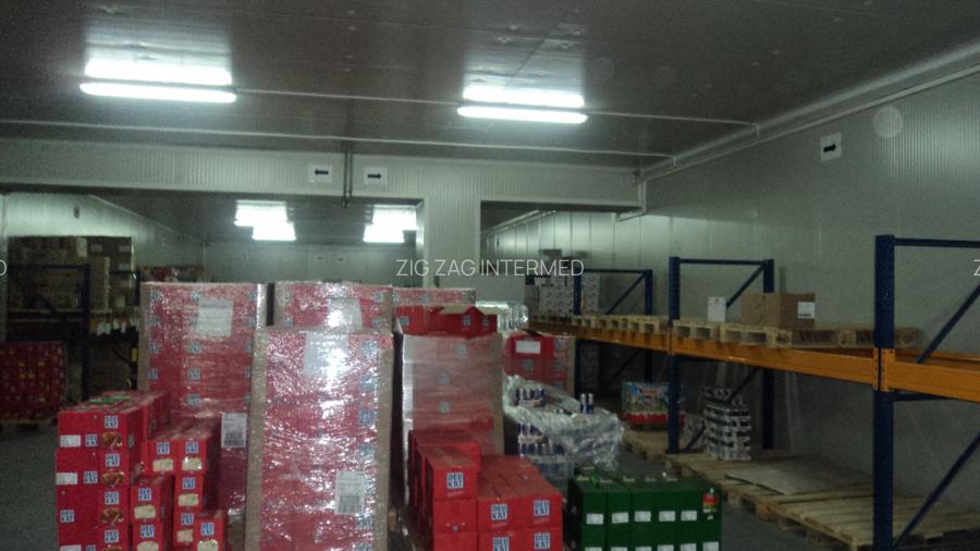 Zona Industriala , hala frigorifica 527 mp. - 9