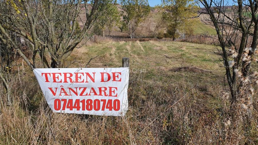 Vand teren intravilan Salistea Veche cu CF - 3