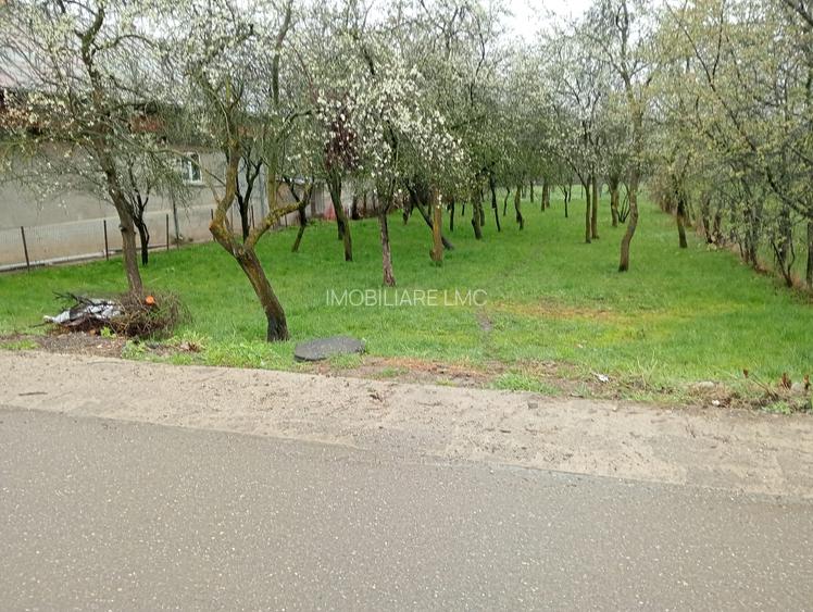 TEREN DE VANZARE - 4