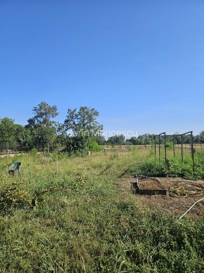 Proprietate imobiliara casa și teren în Criva de Sus - 10