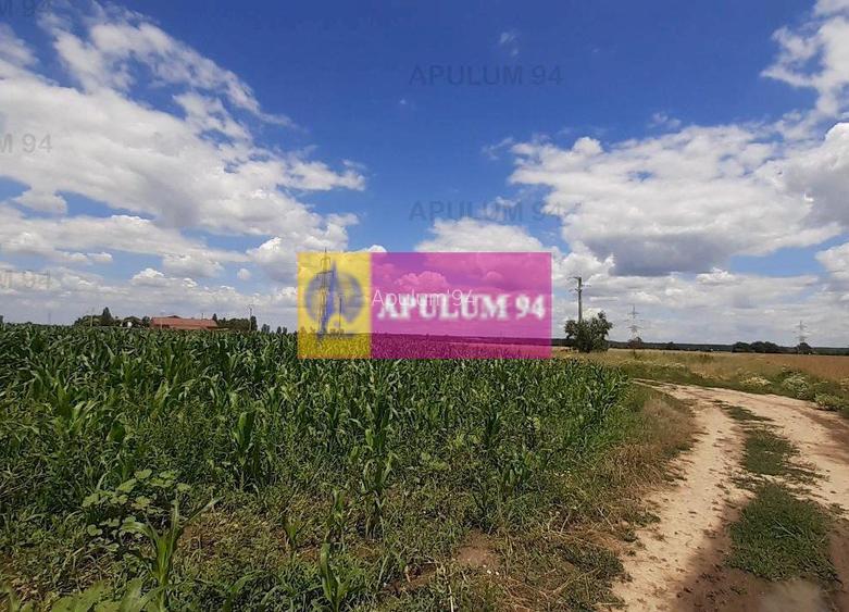 Teren 715mp în Snagov lângă Equestria - 52