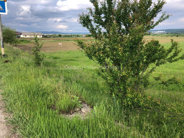 Teren Micesti cu deschidere la DN si drum lateral - 25 euro/mp negociabil - 3