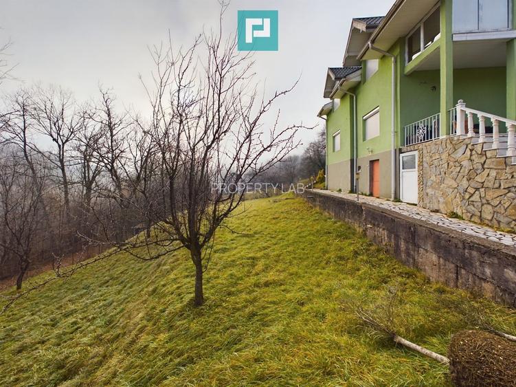 Casă de vacanță în Moneasa - 21