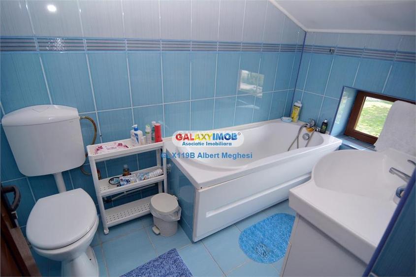 Vanzare Vila P+1+M 227 mp+teren 368 mp Otopeni - 25