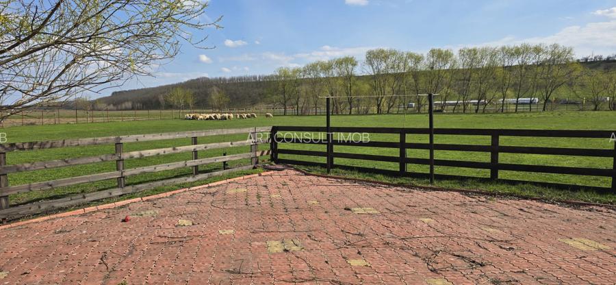 Fermă Zootehnică de Vânzare 6 Ha | Vaci și Oi | Grajd si Saivane | Calugareni | - 12