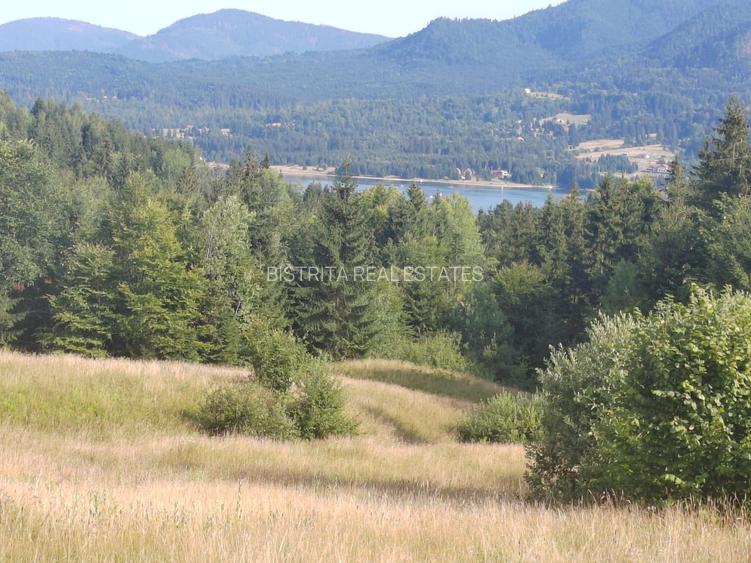 teren Colibita - 2 hectare - acces direct din drumul 173 D - 2