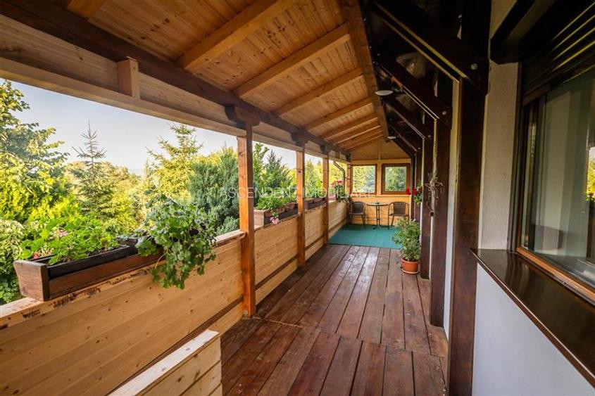 FILM! Investitie 2 in 1:Unitati independente +domeniu 1.742mp,aria Bran,Tohanita - 13