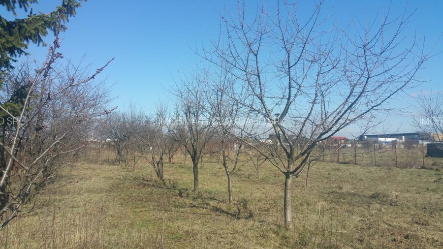 TEREN IN NOUA - INTRAVILAN CONSTRUCTIE- 900 mp  - COMISION 0% pentru cumparator - 5