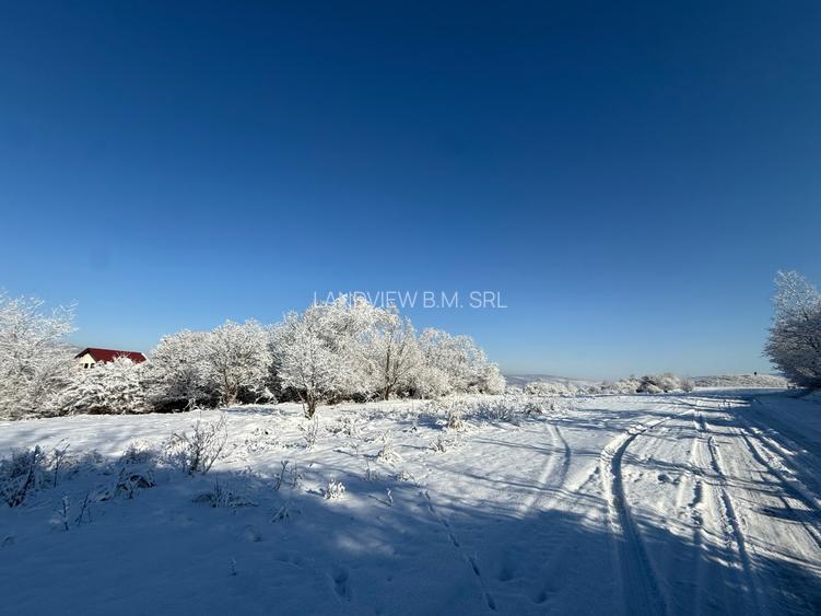 Teren intravilan 500 sau 1000 mp Bran-Tohanita la dum asfaltat - 31